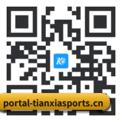 系统版 iOS 二维码